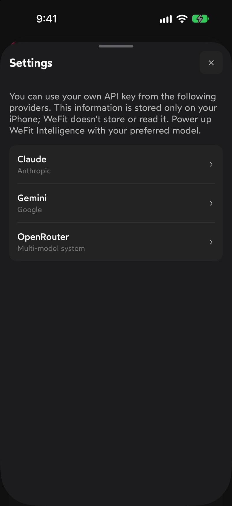 Settings sheet with the providers Claude, Gemini and OpenRouter for entering your own key