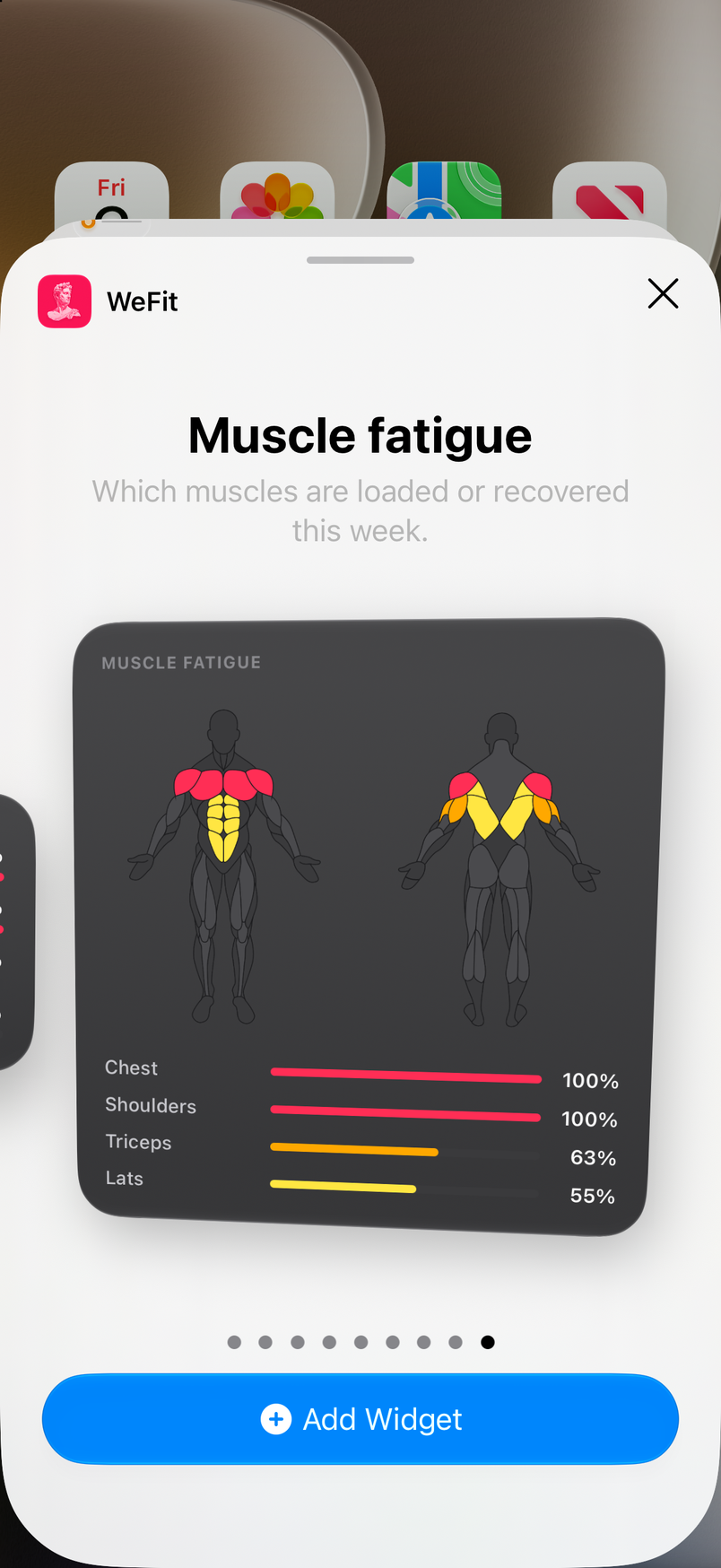 Widget gallery: Muscle fatigue in large size, with the muscle figure and percentages by group
