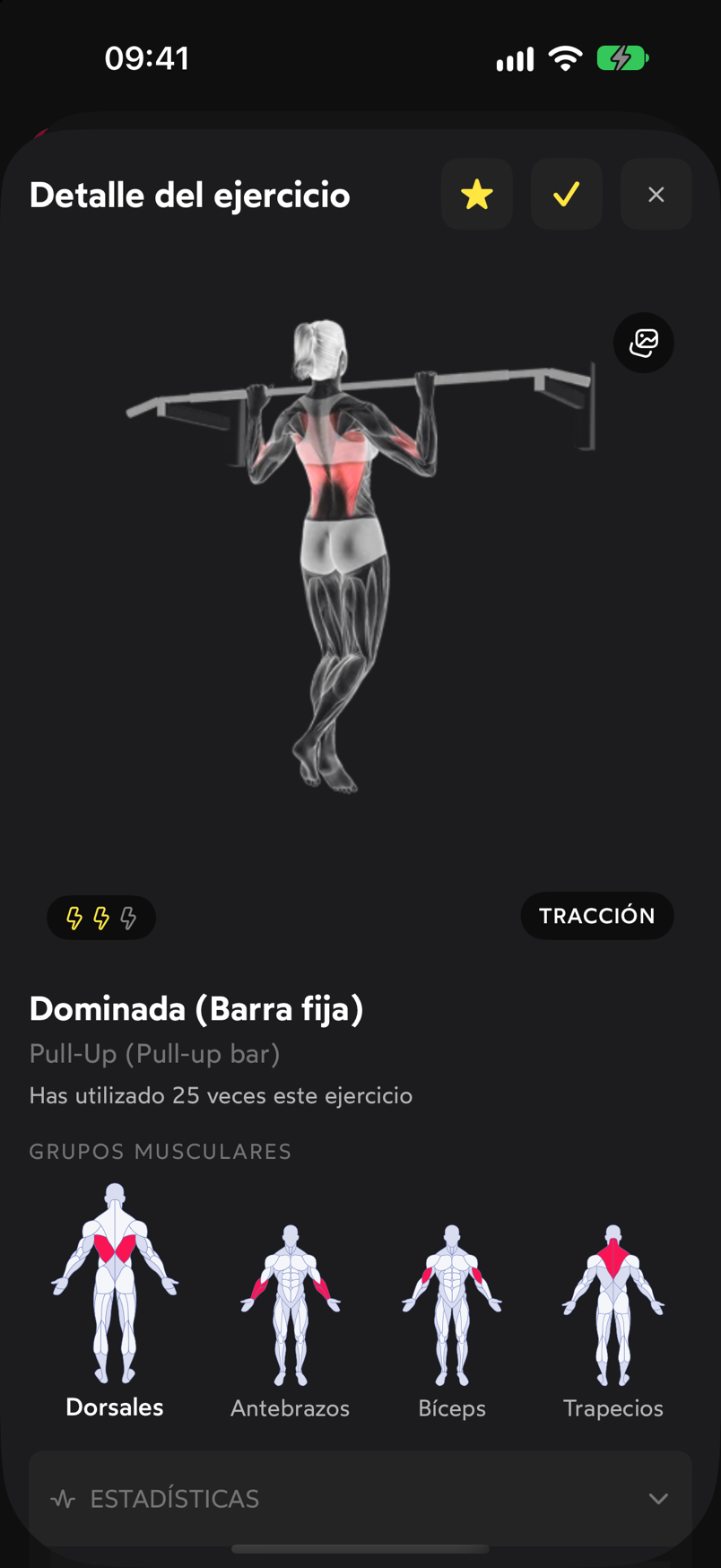 Ficha Detalle del ejercicio de la dominada con la imagen animada, los grupos musculares y las secciones plegables