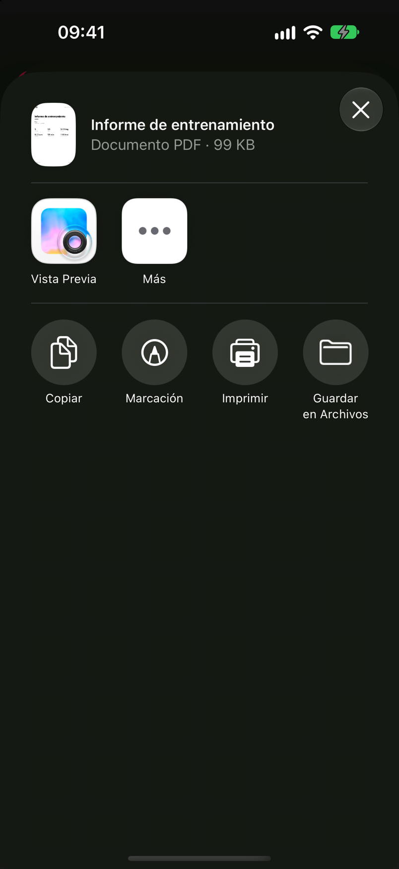 Hoja de compartir de iOS con el PDF Informe de entrenamiento y las opciones Vista Previa, Copiar, Imprimir y Guardar en Archivos