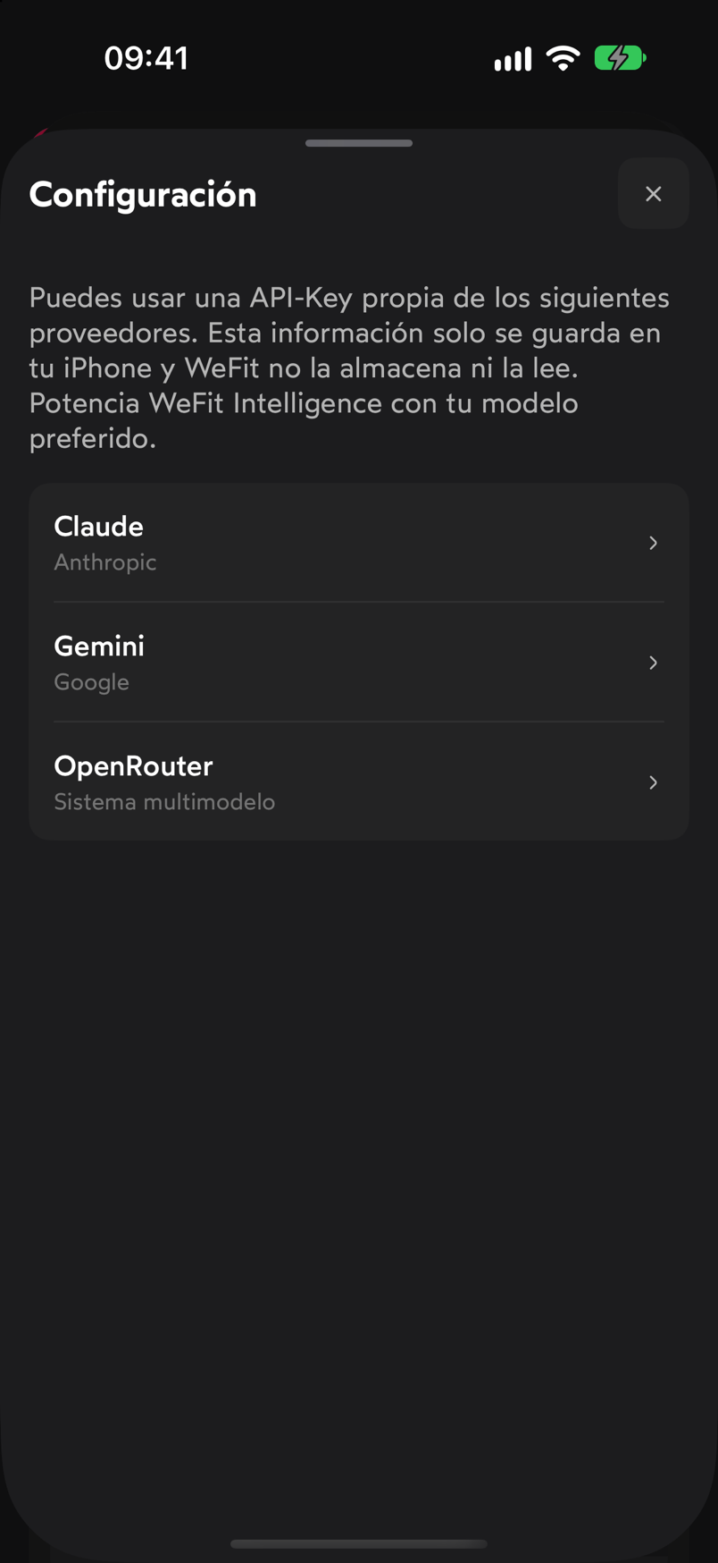 Hoja Configuración con los proveedores Claude, Gemini y OpenRouter para introducir una clave propia