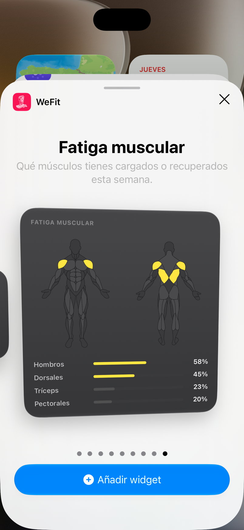Galería de widgets: Fatiga muscular en tamaño grande, con la figura muscular y los porcentajes por grupo