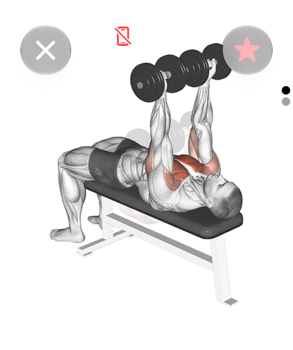 Bench press exercise page on the watch with the image and the favorite star
