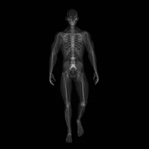 fisiologia-humana