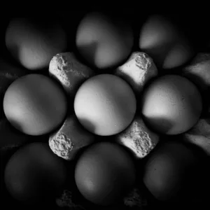 primer-plano-huevos