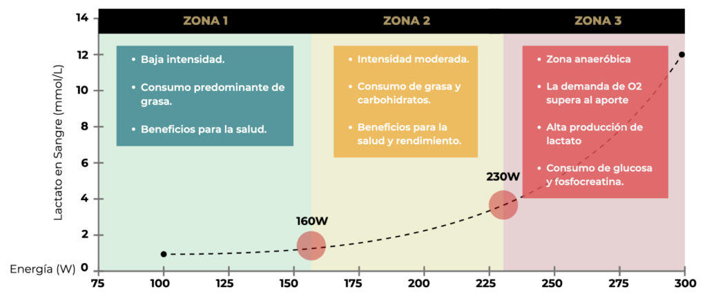 lactato-en-zonas