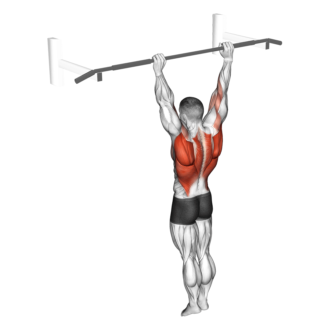 archer-pull-up