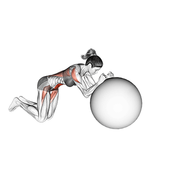 ball-rollout-on-knees