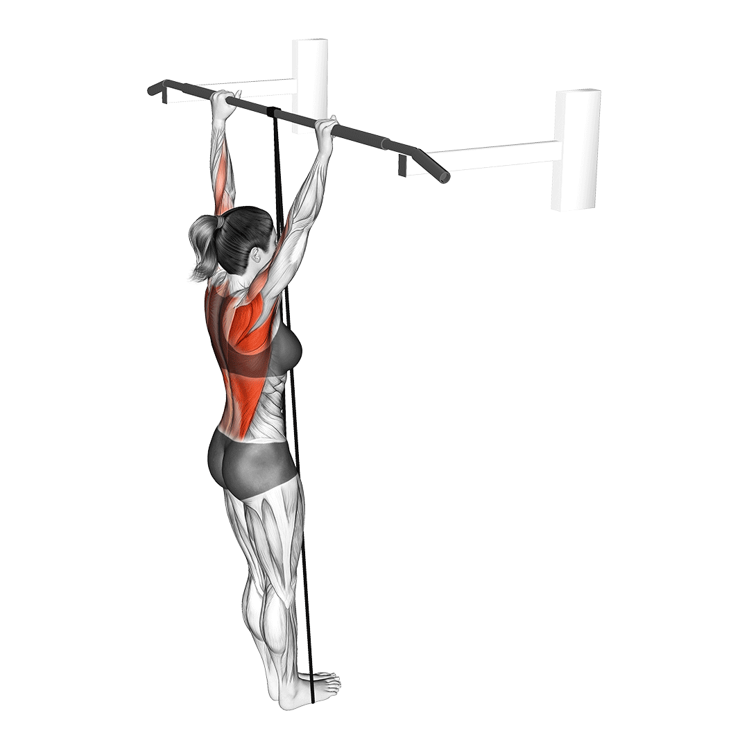 band-assisted-pull-up