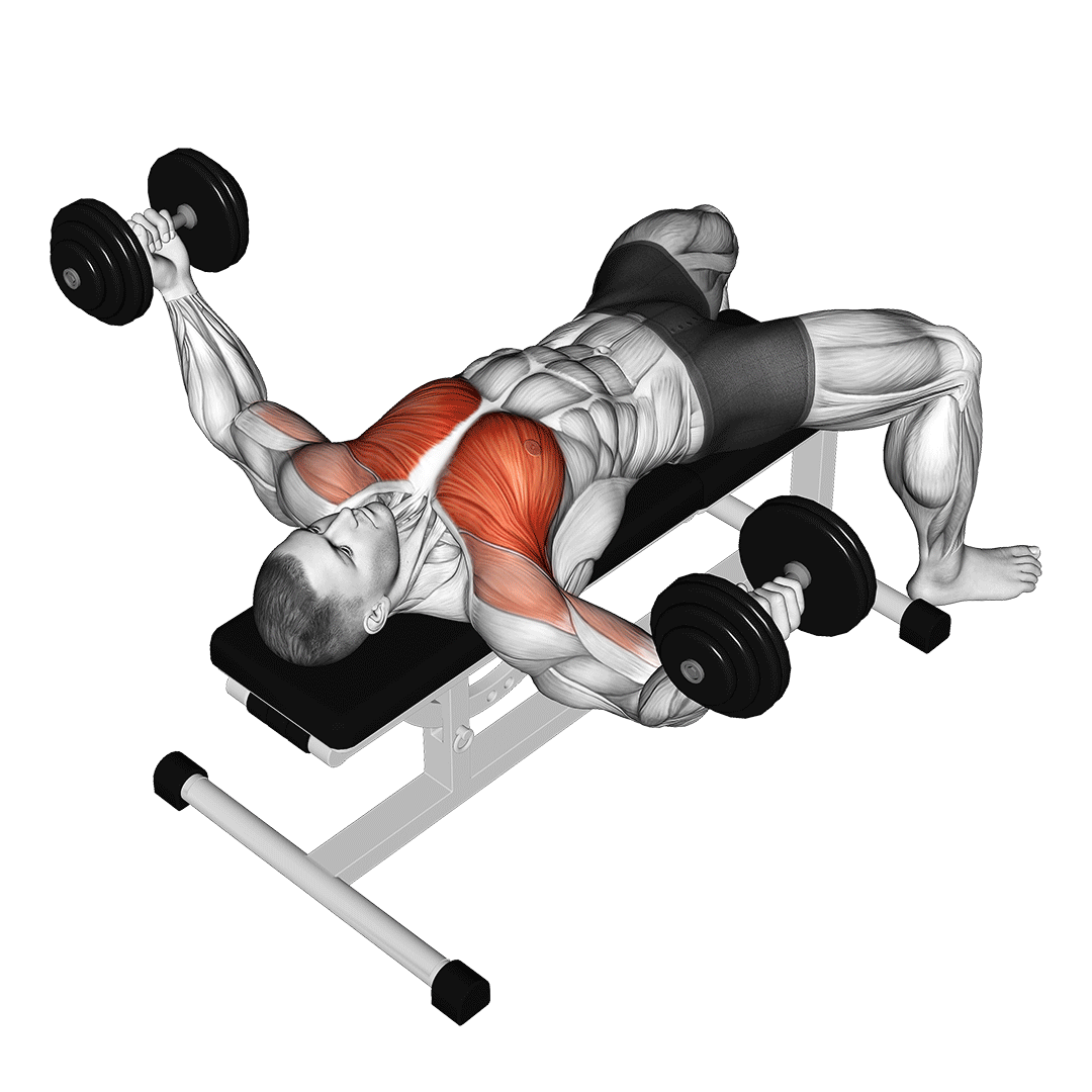 dumbbell-chest-fly-muscles