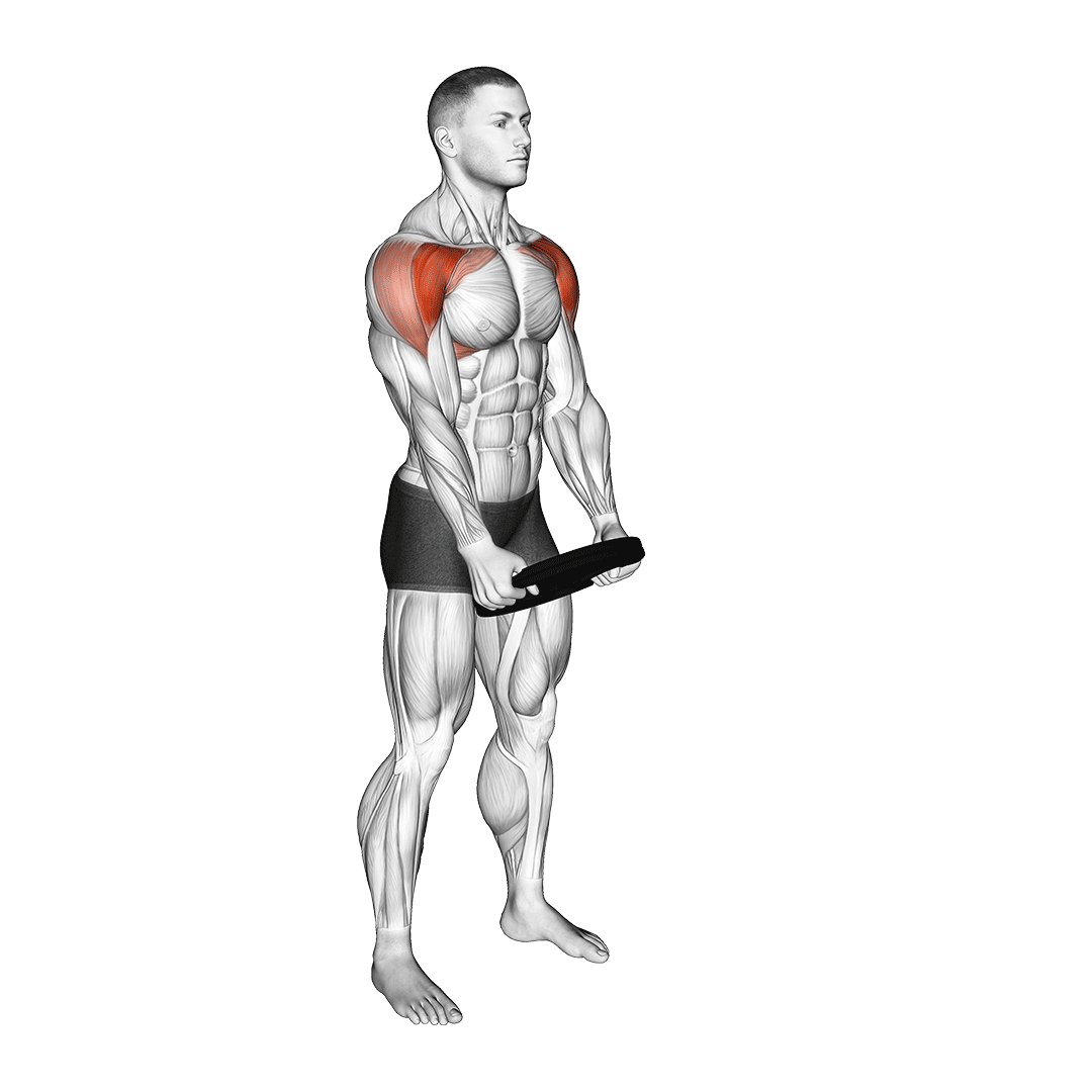 plate-front-raise