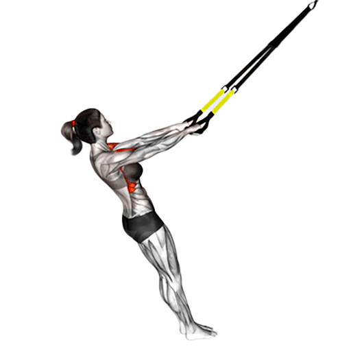 suspensed-front-raises-trx